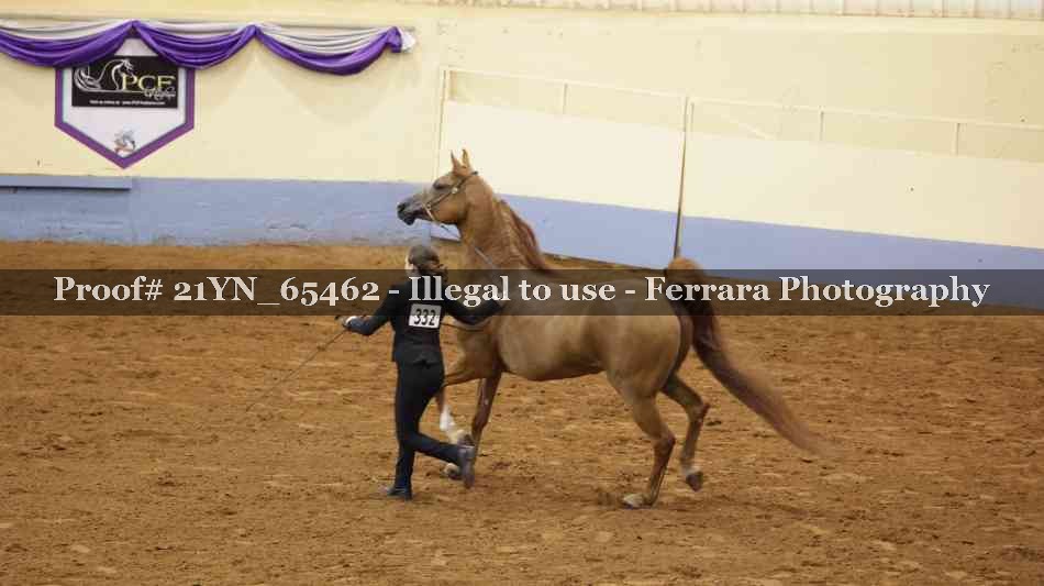 Proof 21YN_65462