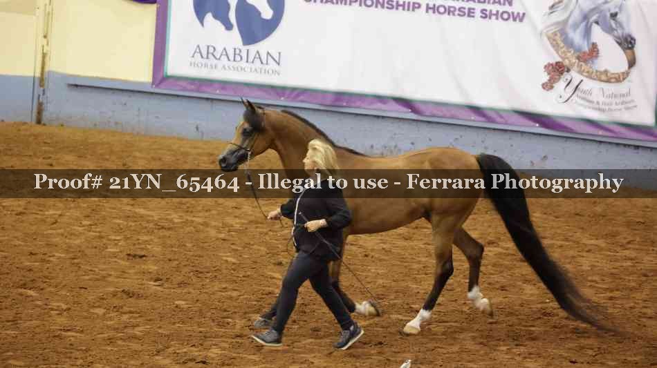 Proof 21YN_65464