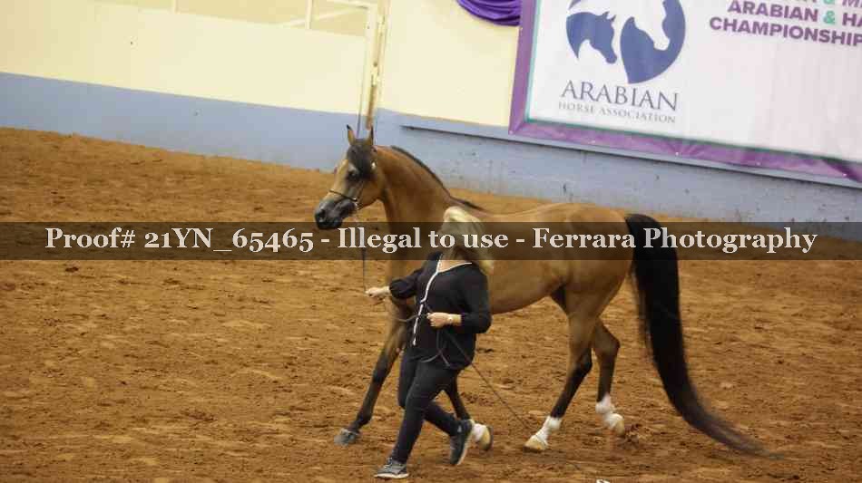 Proof 21YN_65465