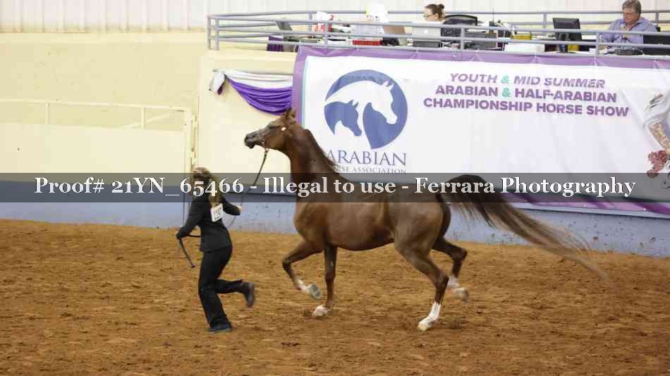 Proof 21YN_65466