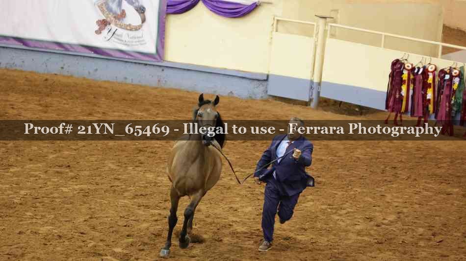 Proof 21YN_65469