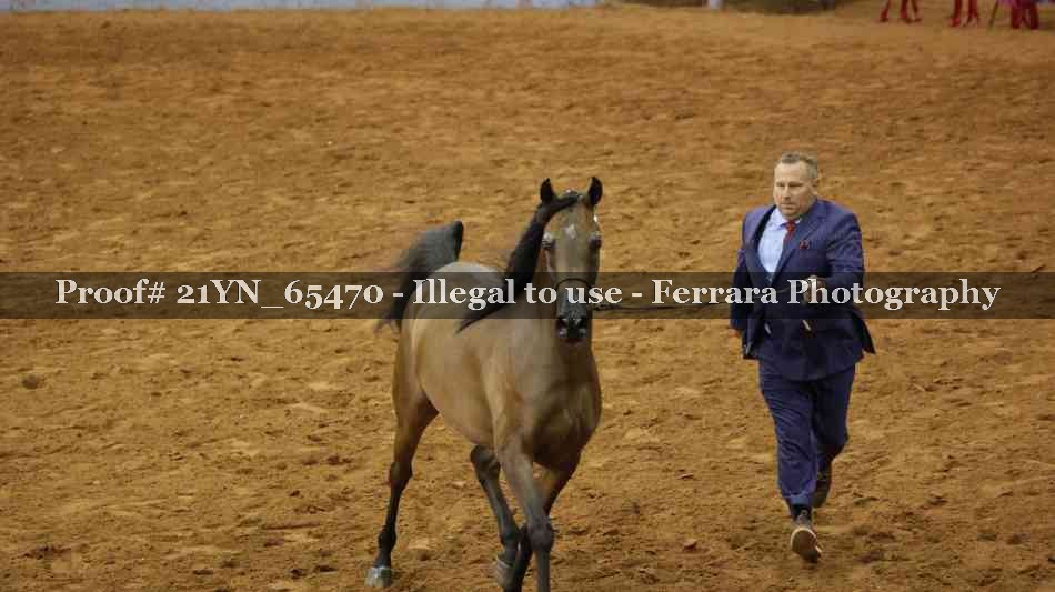 Proof 21YN_65470