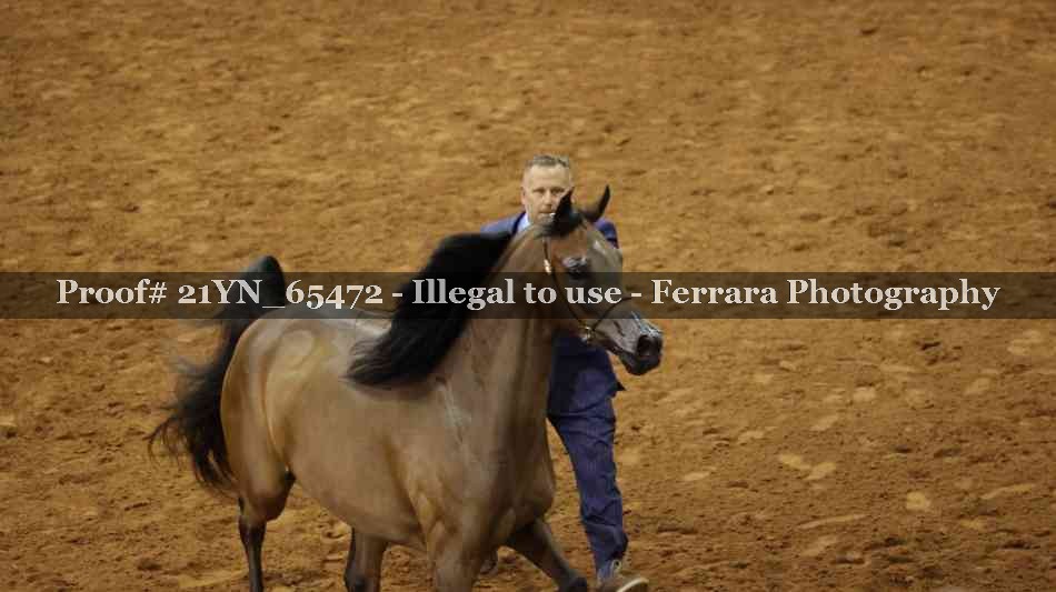 Proof 21YN_65472