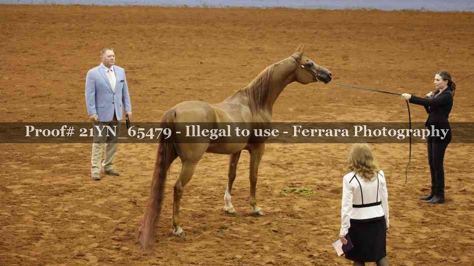 Proof 21YN_65479