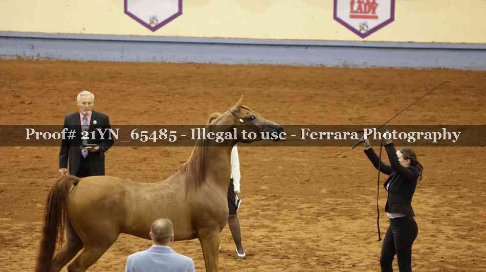 Proof 21YN_65485