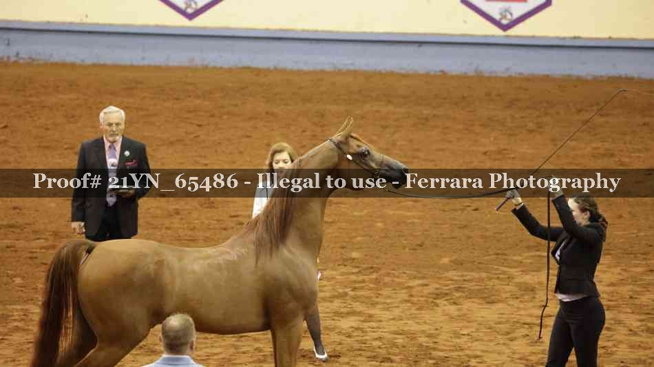 Proof 21YN_65486