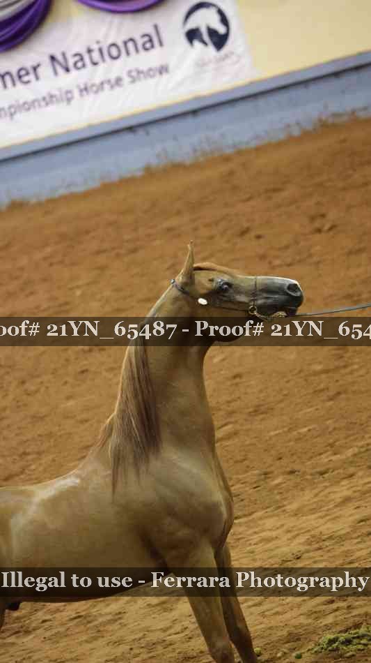 Proof 21YN_65487