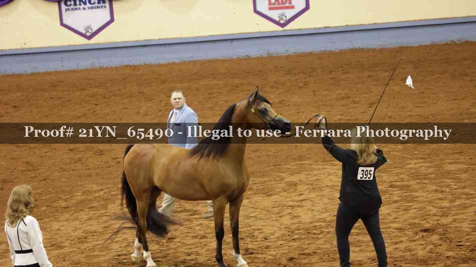 Proof 21YN_65490