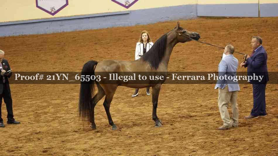 Proof 21YN_65503