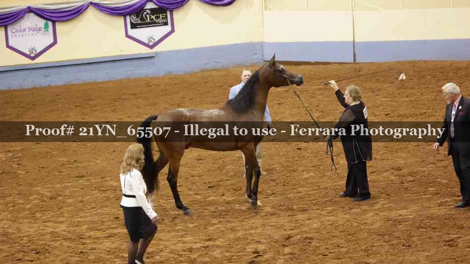 Proof 21YN_65507