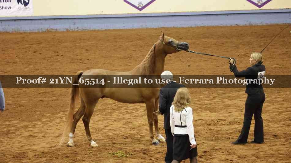 Proof 21YN_65514