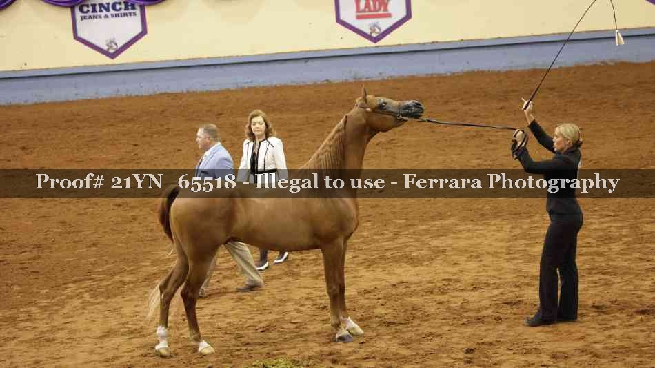 Proof 21YN_65518