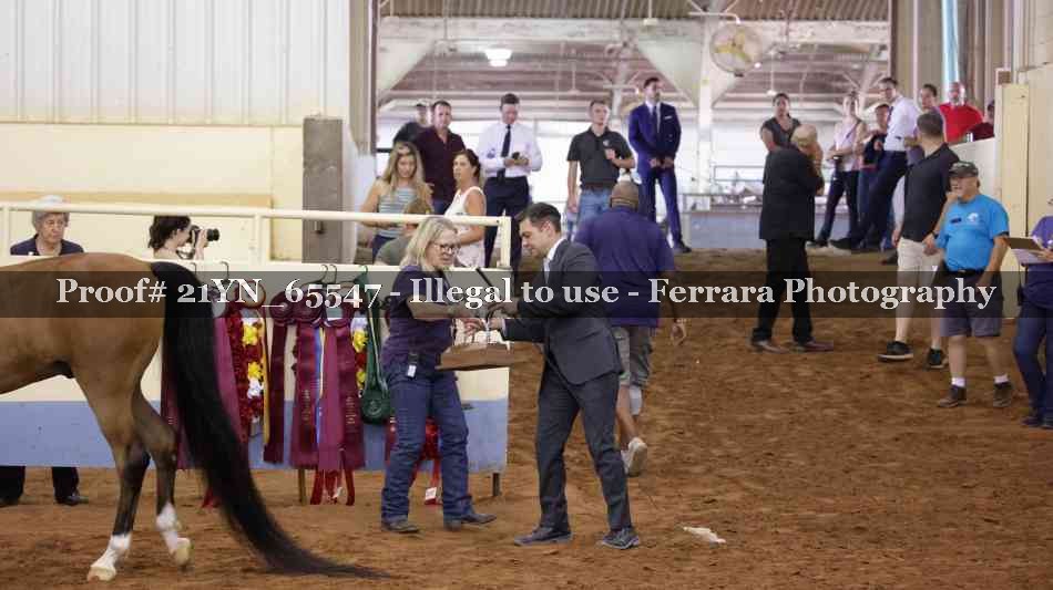 Proof 21YN_65547