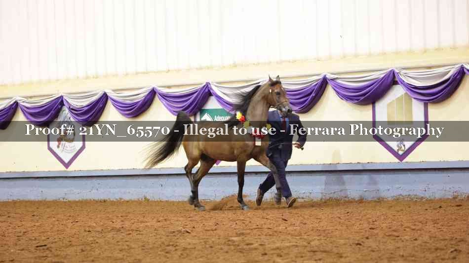 Proof 21YN_65570