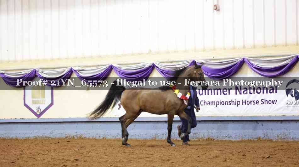 Proof 21YN_65573