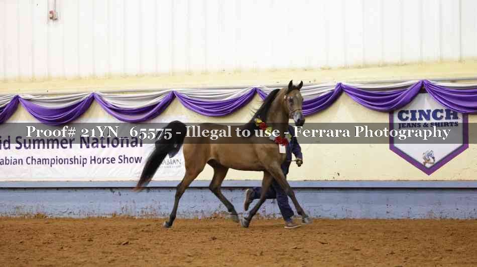 Proof 21YN_65575