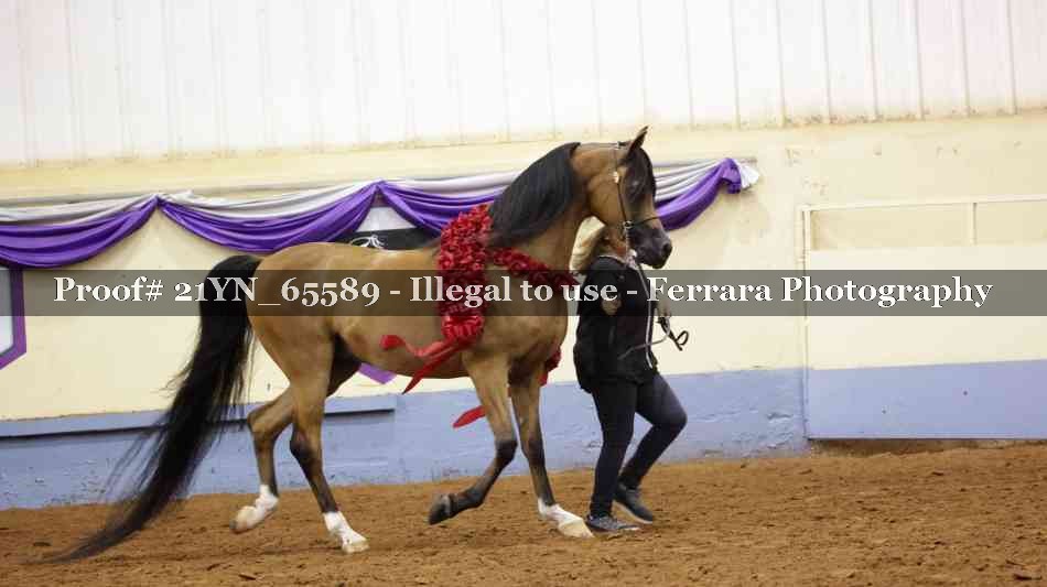 Proof 21YN_65589