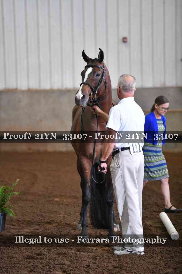 Proof 21YN_33107