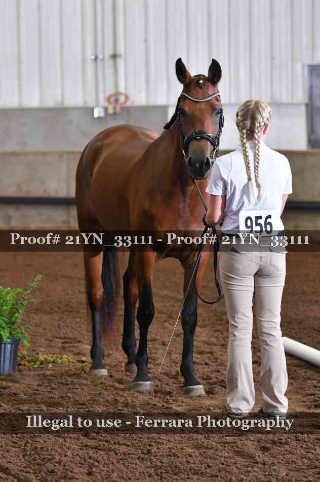 Proof 21YN_33111