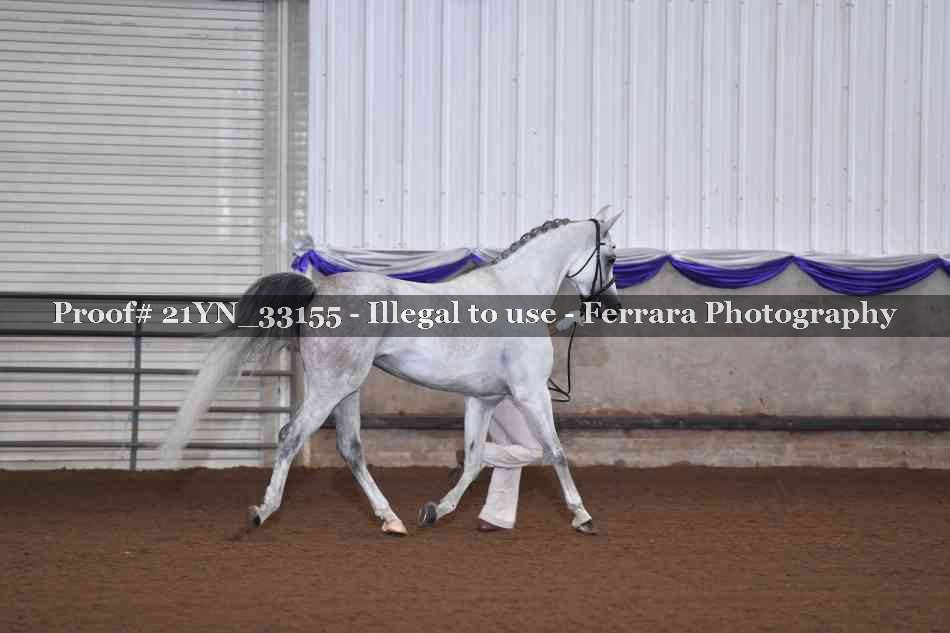 Proof 21YN_33155