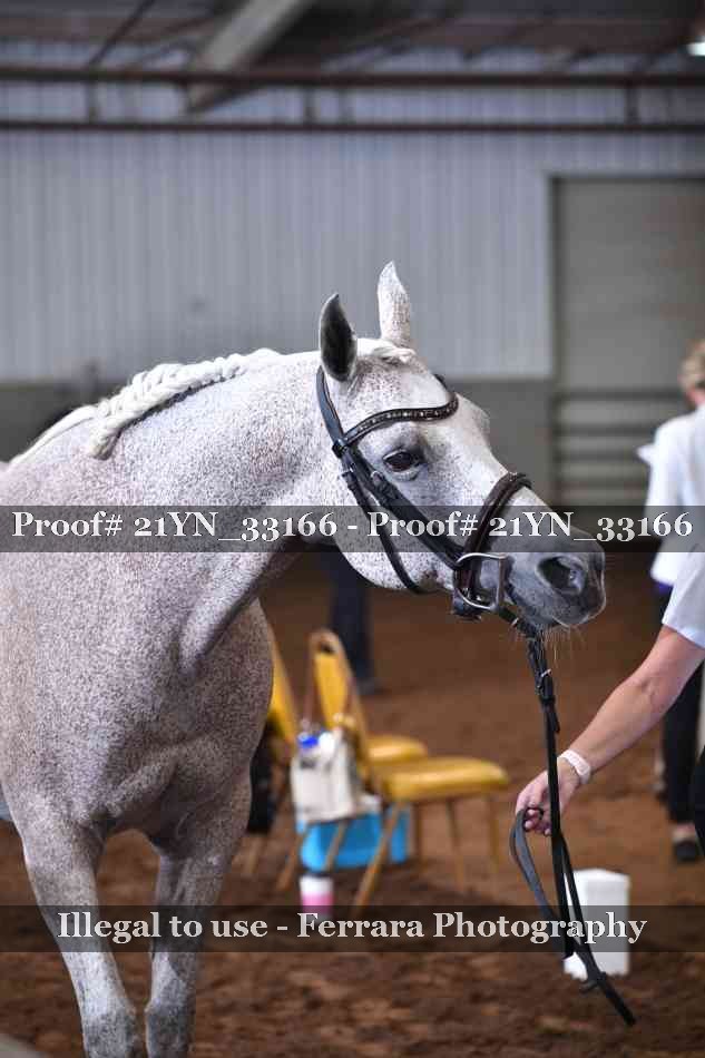 Proof 21YN_33166
