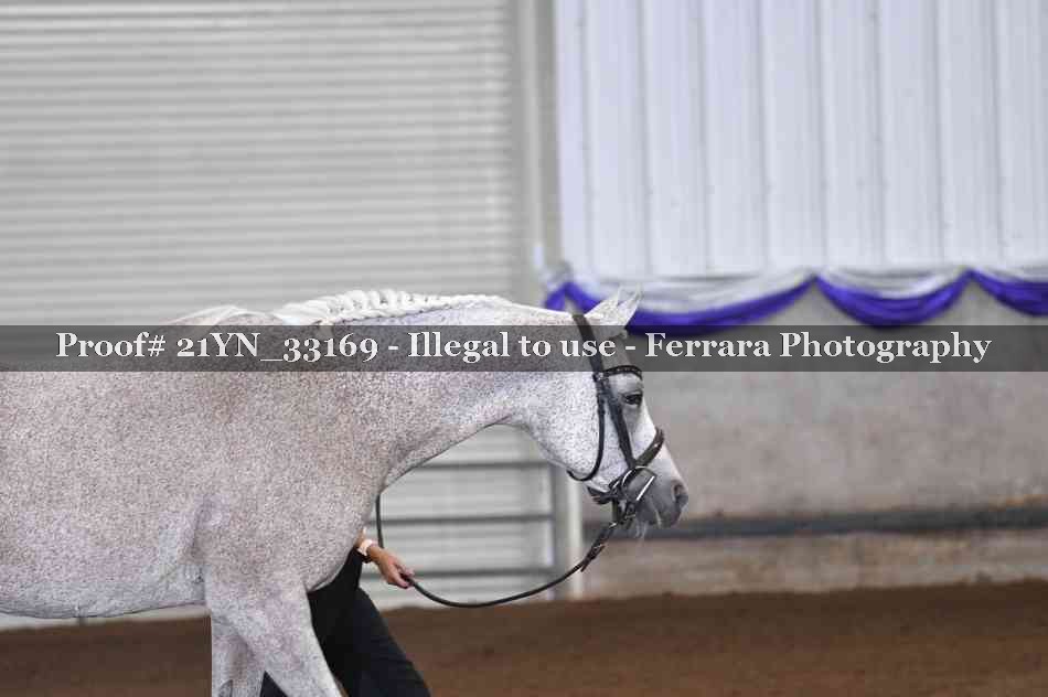 Proof 21YN_33169