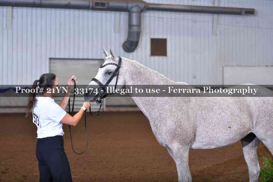Proof 21YN_33174