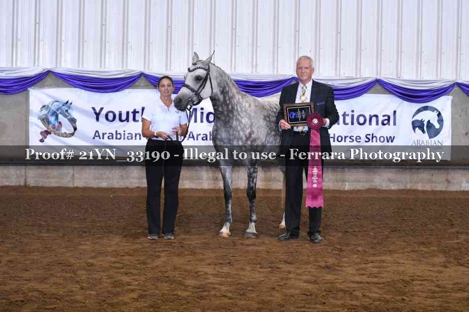 Proof 21YN_33190