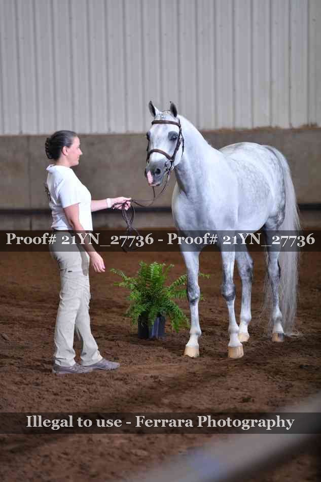 Proof 21YN_27736