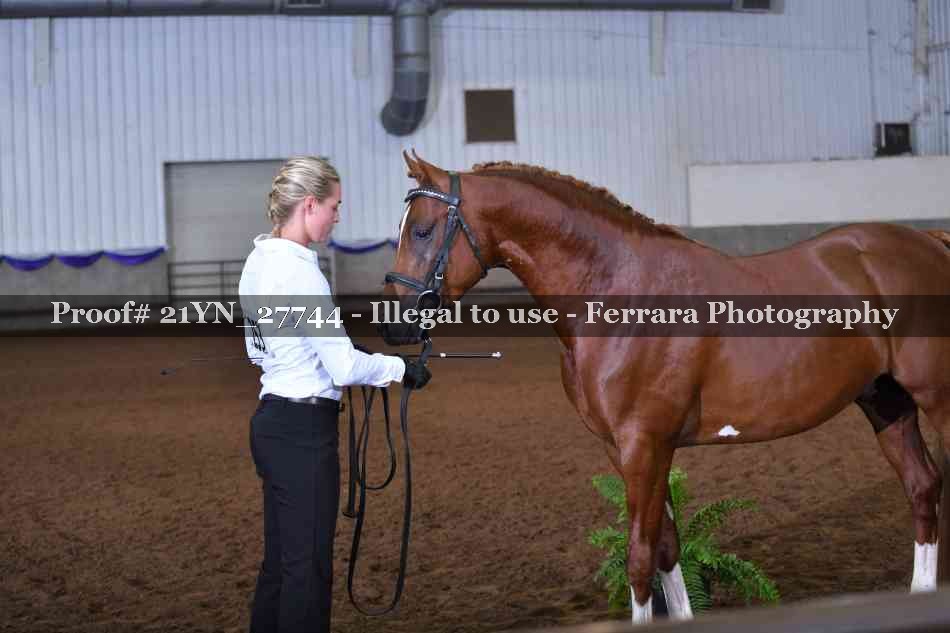 Proof 21YN_27744