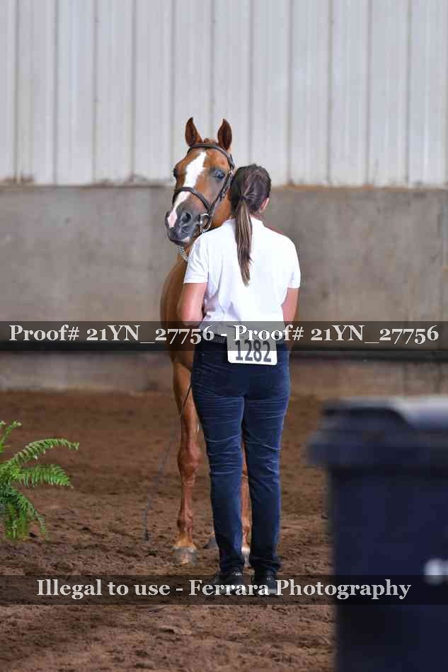 Proof 21YN_27756