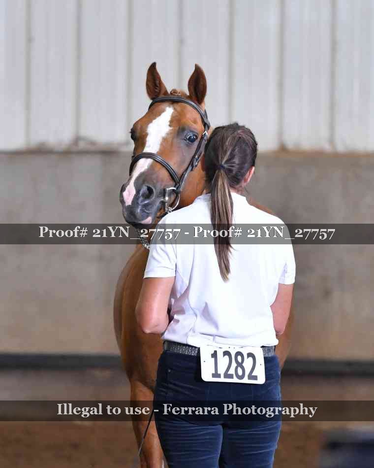 Proof 21YN_27757