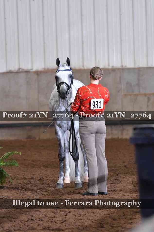 Proof 21YN_27764