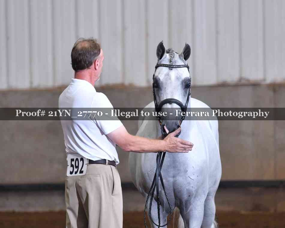 Proof 21YN_27770