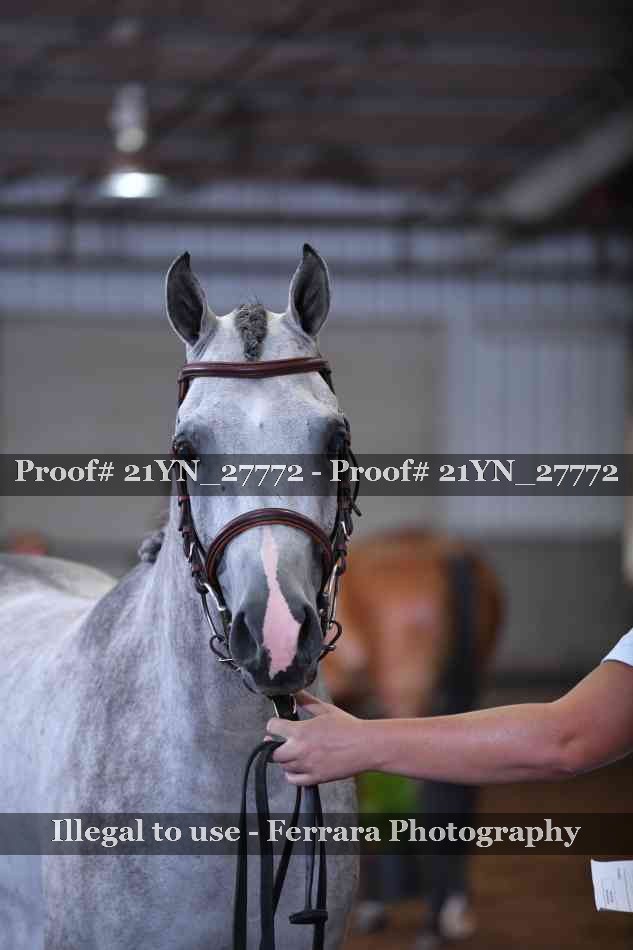 Proof 21YN_27772