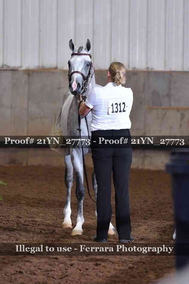 Proof 21YN_27773