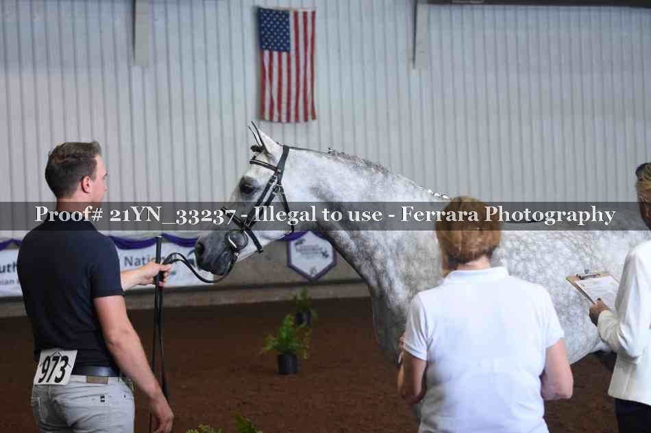 Proof 21YN_33237