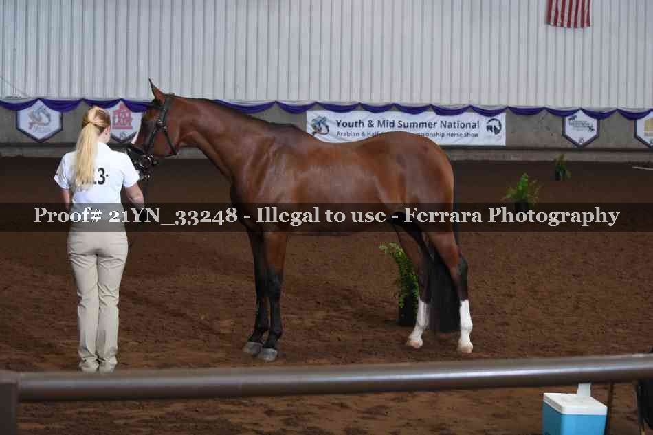 Proof 21YN_33248