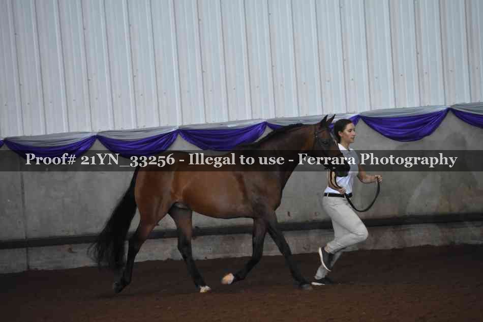 Proof 21YN_33256