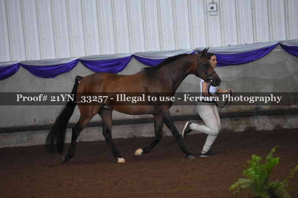 Proof 21YN_33257