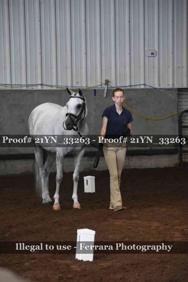Proof 21YN_33263