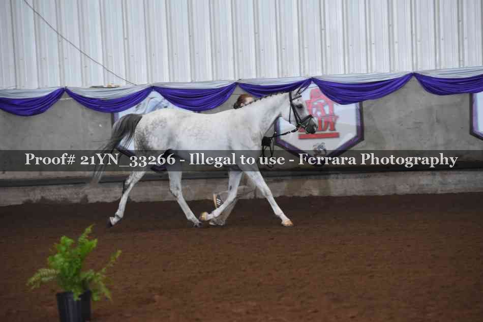 Proof 21YN_33266