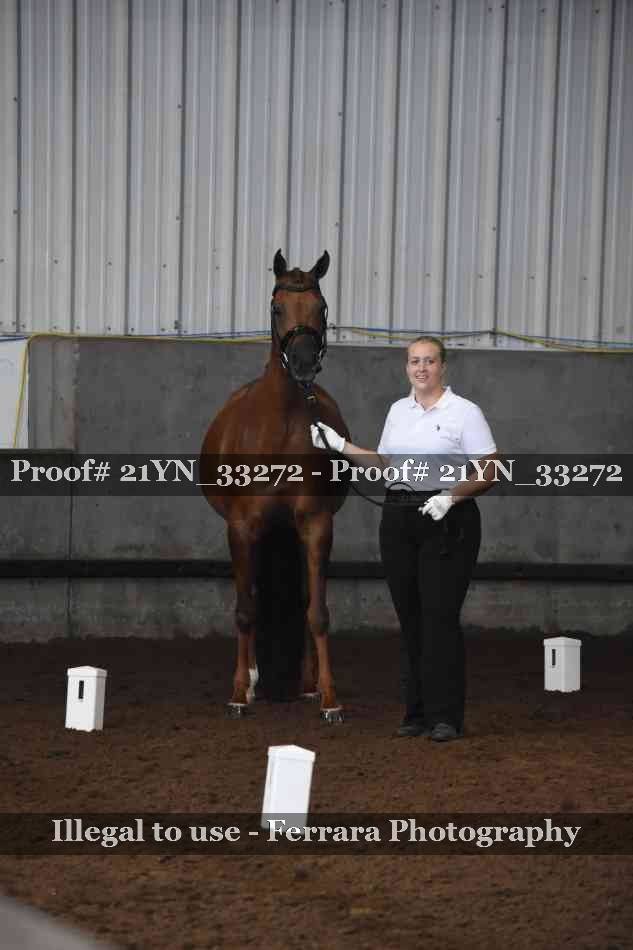 Proof 21YN_33272