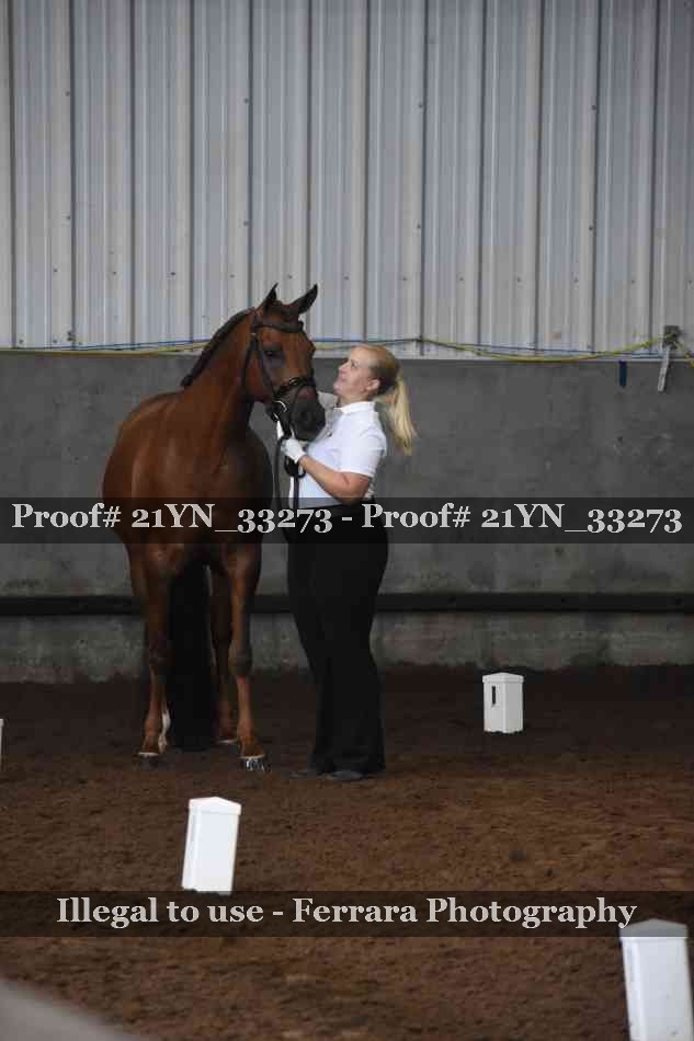 Proof 21YN_33273