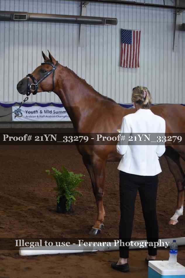 Proof 21YN_33279