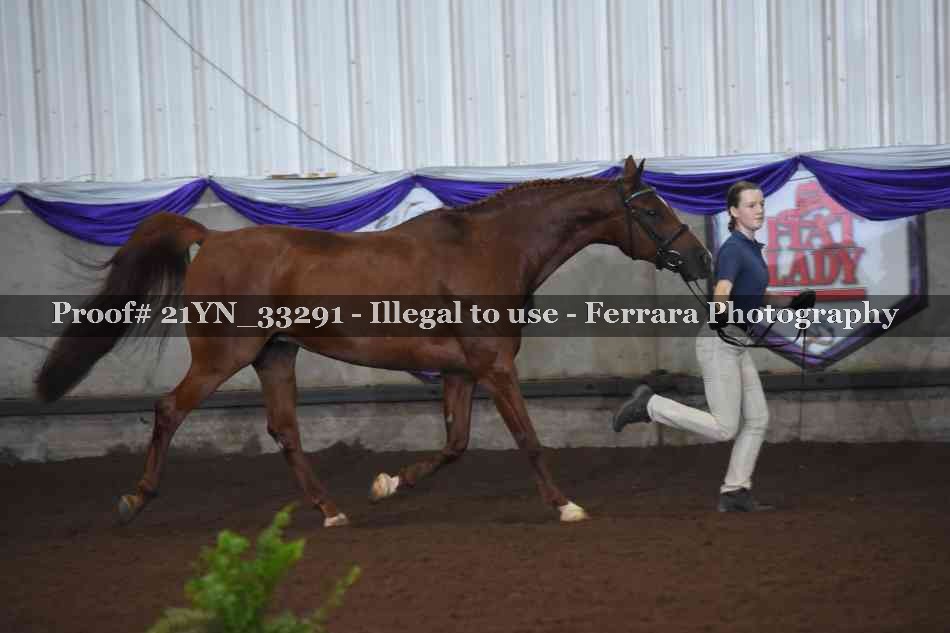 Proof 21YN_33291
