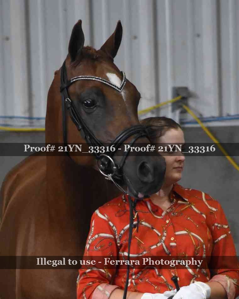 Proof 21YN_33316