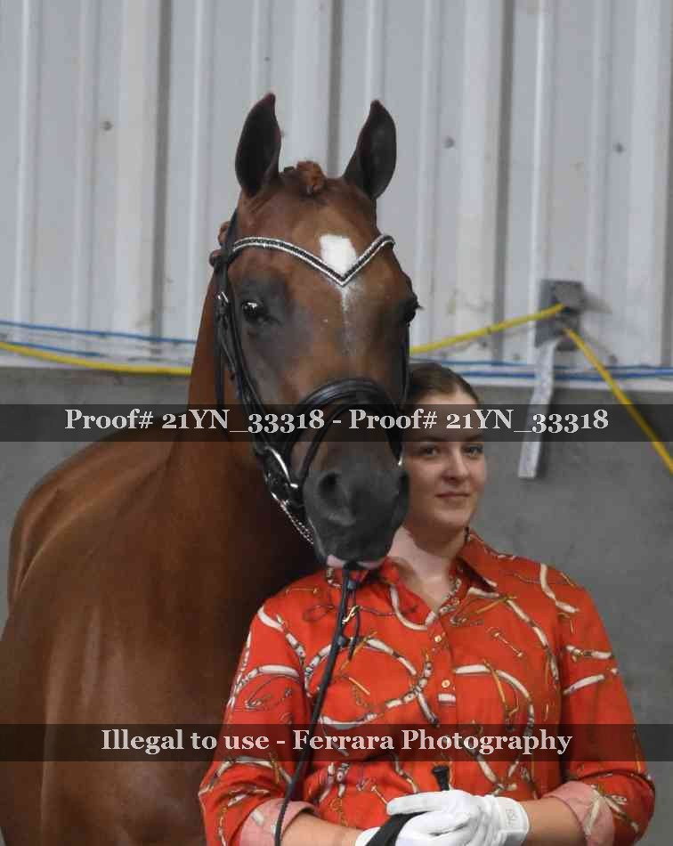 Proof 21YN_33318