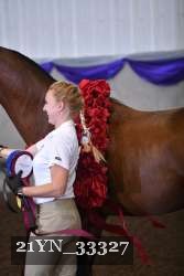 21YN_33327 proof