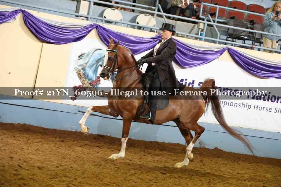 Proof 21YN_60596